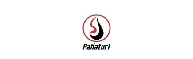 pa;aturi-80